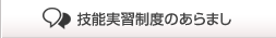 技能実習制度のあらまし