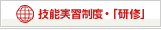 技能実習制度・「研修」