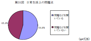 第35図　日常生活上の問題点