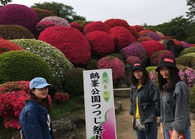 日本の四季を楽しんでいます