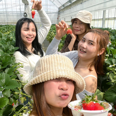 いちご狩りに行きました